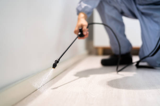 Bed Bug Pre-Treatment Preparation Assessment in Plainfield Village