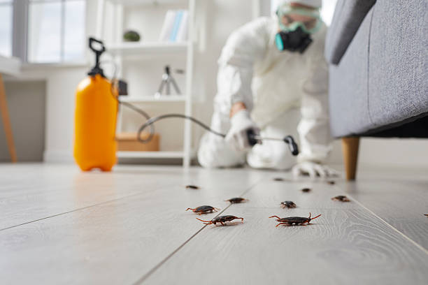 Post-Treatment Bed Bug Interceptor Monitoring in Plainfield Village