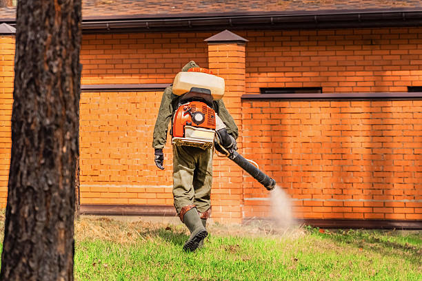 Bed Bug Clearance Verification and Documentation in Plainfield Village